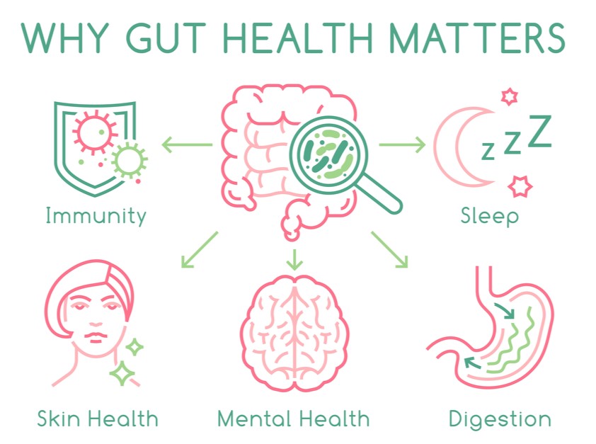 Gut health