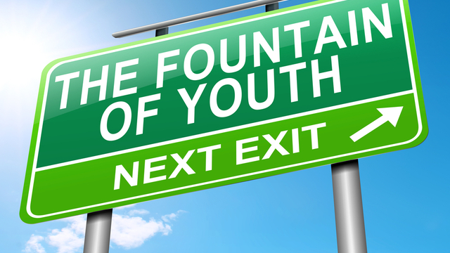 Fountain of youth sign