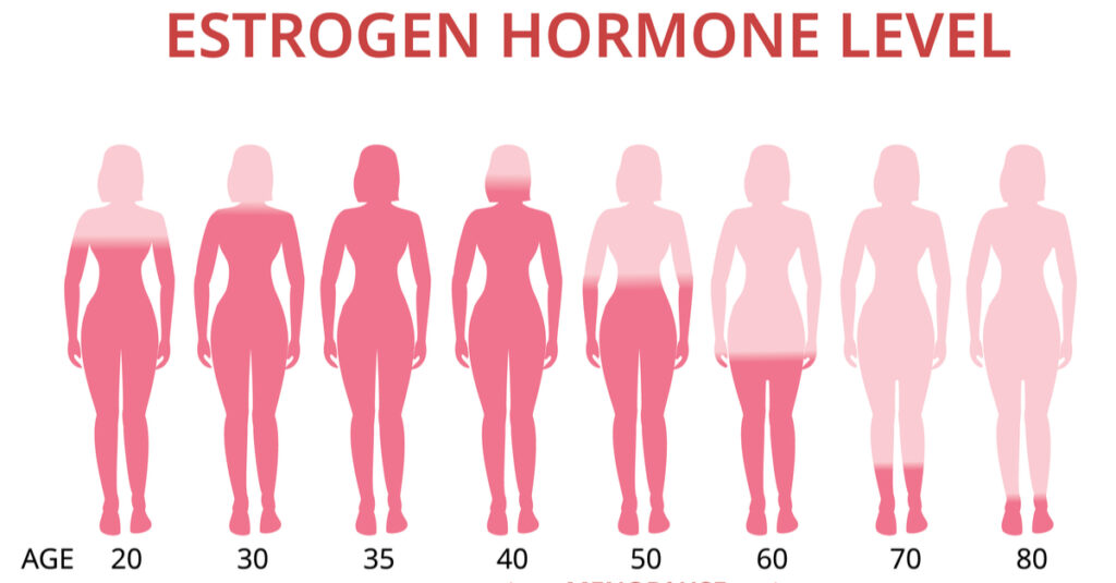 Estrogen Hormone What You Need To Know Higher Health 8946