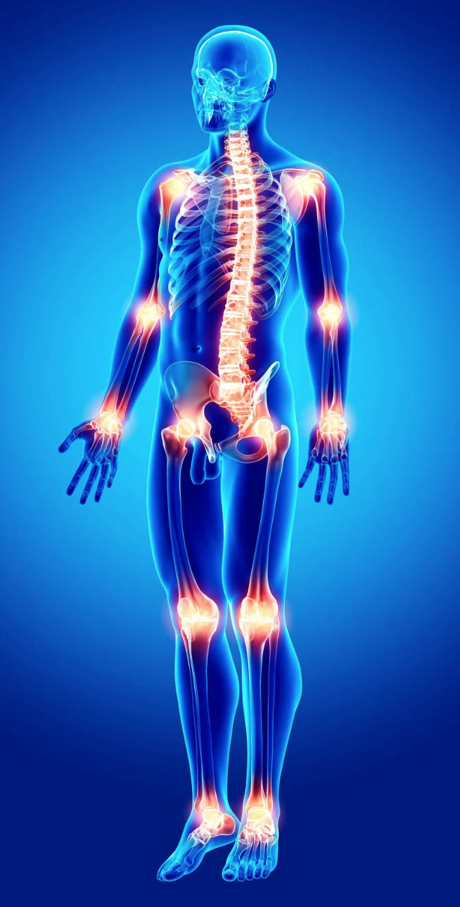 Screenshot Common causes of chronic pain including inflammation, muscle tension, and joint issues.