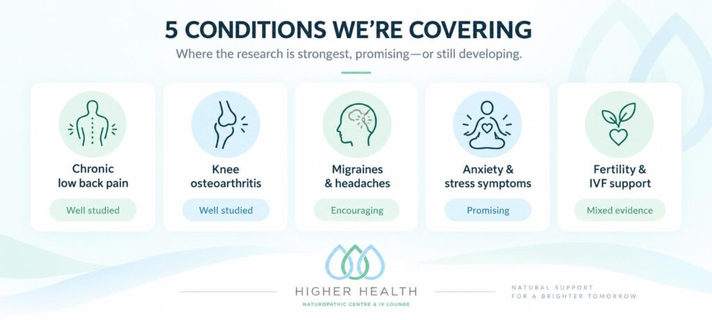 Infographic: five conditions with research behind acupuncture. Chronic low back pain and knee osteoarthritis (well studied), migraines and headaches (encouraging), anxiety and stress symptoms (promising), fertility and IVF support (mixed evidence).